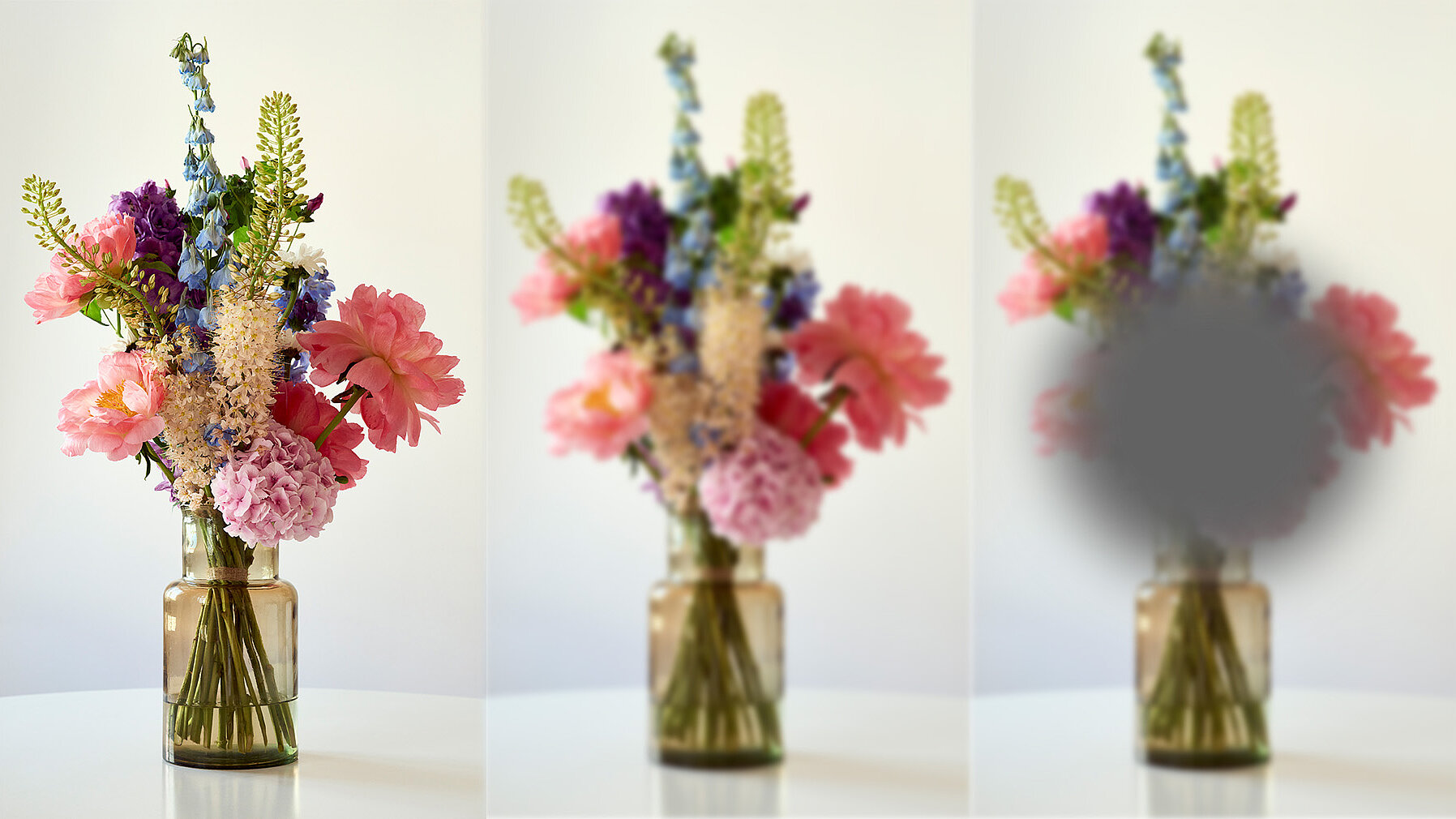 Anhand von 3 Blumensträußen in einer Vase werden verschiedene Seheinschränkungen dargestellt