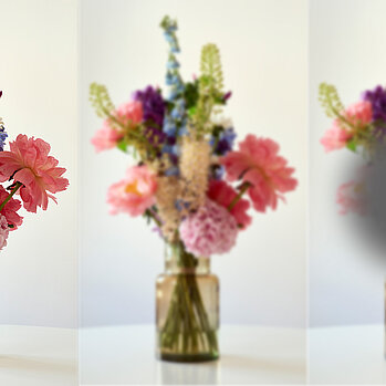 Anhand von 3 Blumensträußen in einer Vase werden verschiedene Seheinschränkungen dargestellt