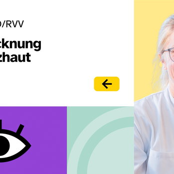 Thumbnail mit Dr. Schaub