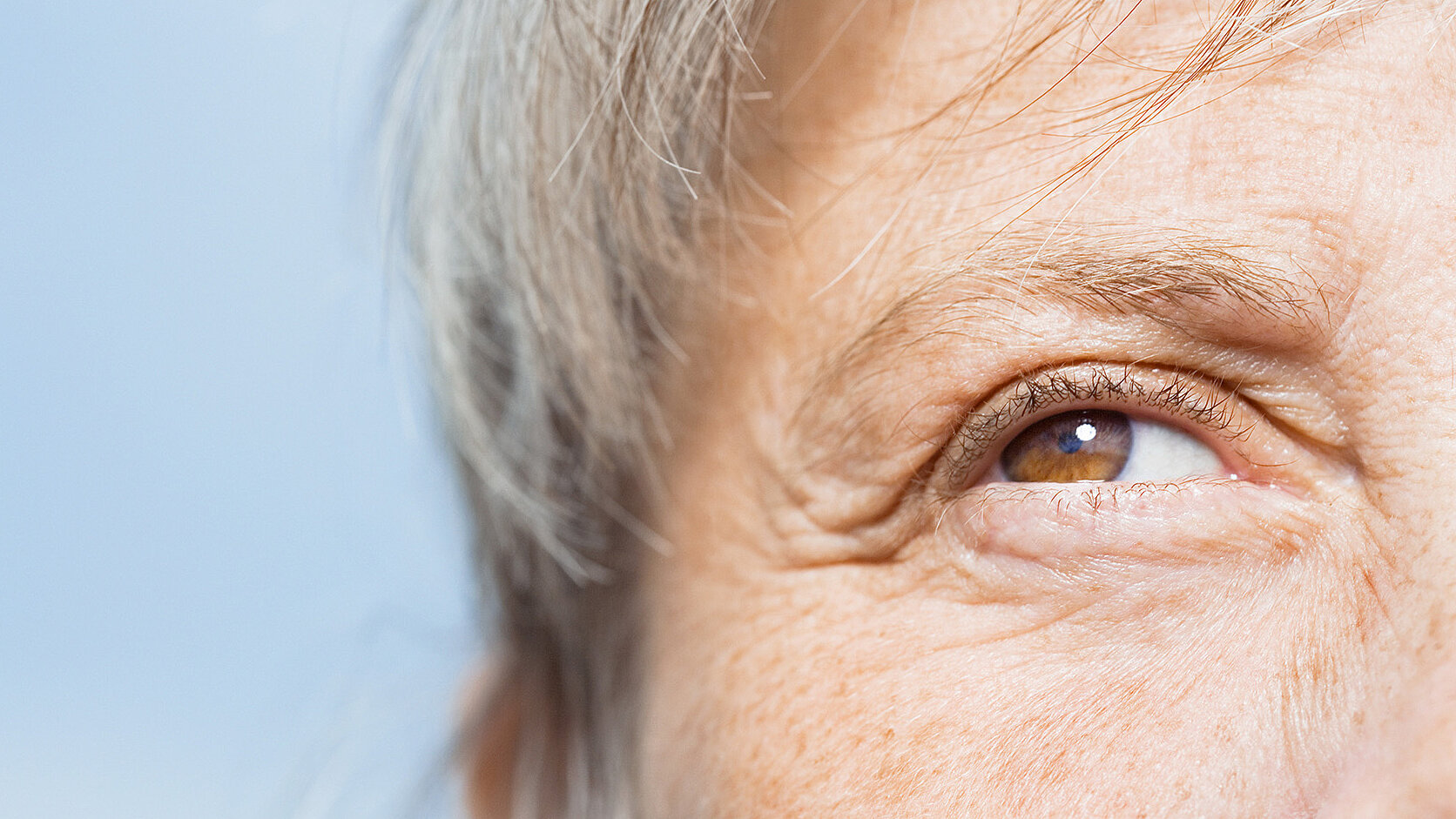 Augenkrankheit AMD: Symptome und Therapie